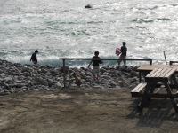 海岸で遊ぶ子どもたちの画像24
