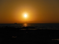 お台場海浜庭園の夕日の画像21