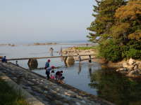 松島への橋は、子どもたちの遊び場の画像37