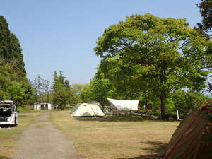 第１オートキャンプサイトの全景の画像05