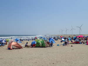 海岸線に立ち並ぶ風車の画像51