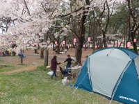 上大島キャンプ場の画像01