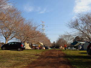 成田ゆめ牧場ファミリーオートキャンプ場の画像01