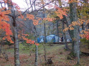 紅葉の中での秋キャンプの画像