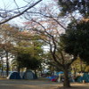 野島公園キャンプ場