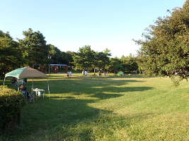 ピクニック園地の画像33