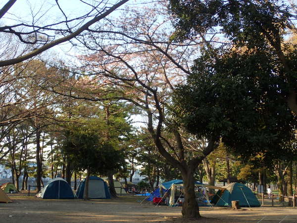 <h1>野島公園キャンプ場の中央部(2017/04/16)</h1>